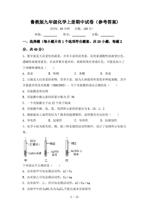 鲁教版九年级化学上册期中试卷(参考答案)