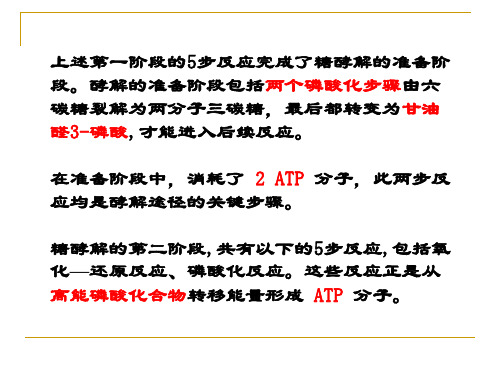 糖酵解2