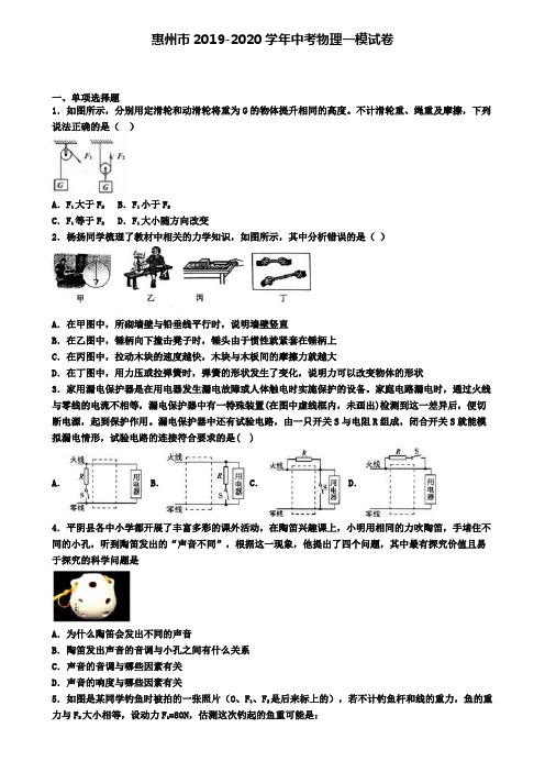 惠州市2019-2020学年中考物理一模试卷