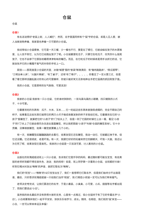 仓鼠——精选推荐