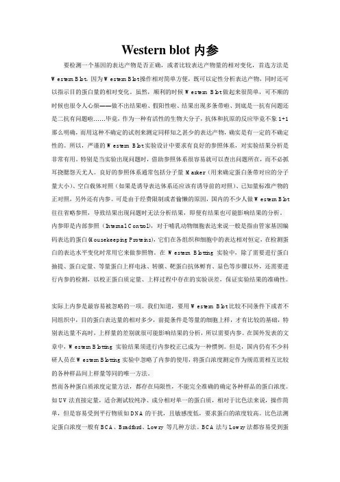 Western blot内参问题