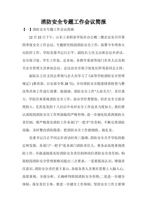  消防安全专题工作会议简报