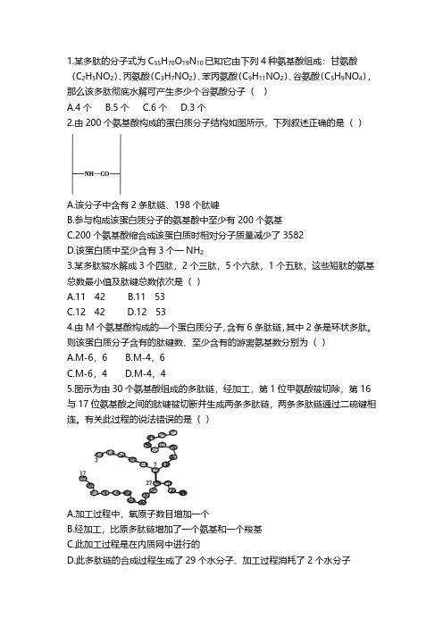 蛋白质计算习题及答案