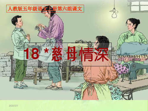 最新人教版小学五年级语文上册人教版五年级语文上册第六组《18慈母情深》PPT课件