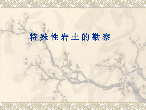特殊性岩土的勘察PPT课件