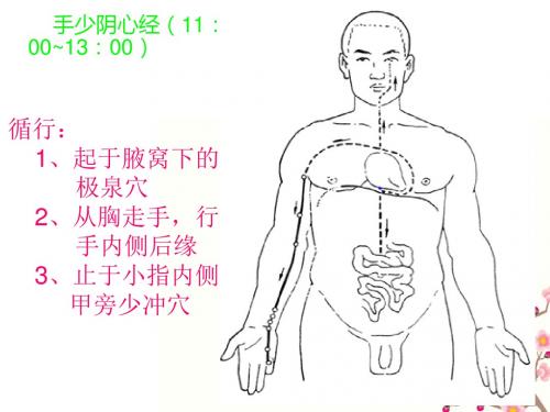 手少阴心经45分钟