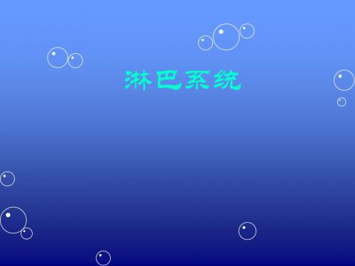 淋巴系统