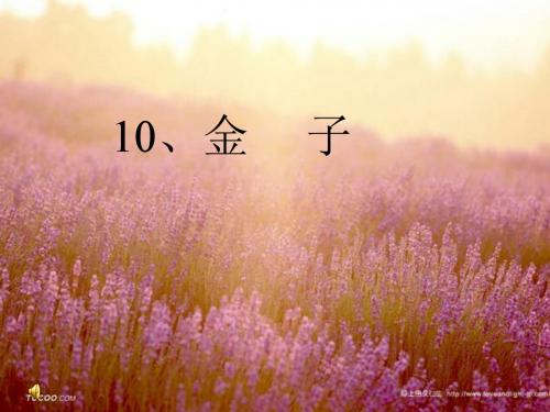 2019春新苏教版3三年级语文下册第10课《金子》完美教学课件