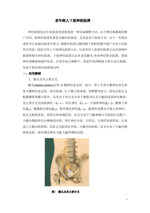 老年病人下肢神经阻滞