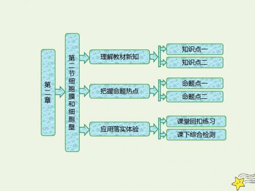 高中生物第二章第二节细胞膜和细胞壁课件浙科版必修1