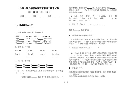 北师大版六年级总复习下册语文期末试卷