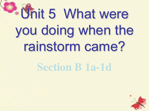2015-2016学年八年级英语下 Unit 5 What were you doing when the rainstorm came Section B(1a-1d)课件