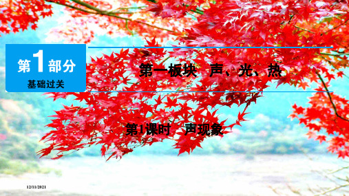 中考物理总复习 第一板块 声、光、热 第1课时 声现象课件