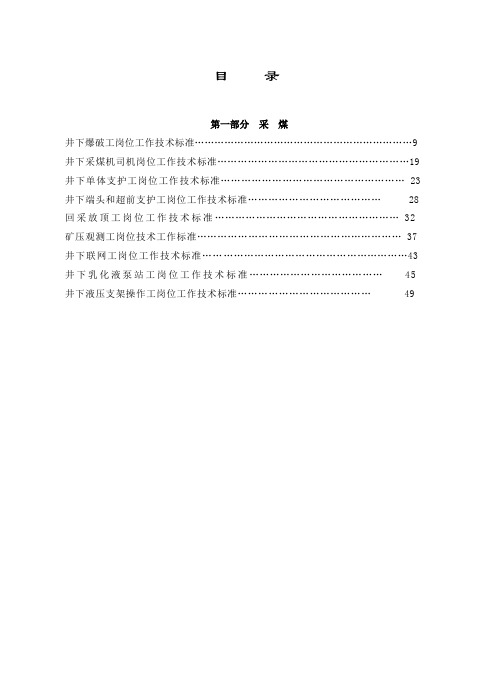 煤矿井下工种三项标准范本