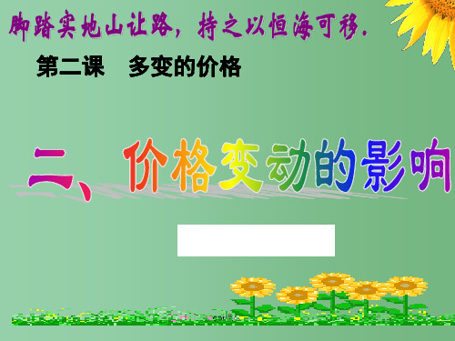 高中政治 2.2价格变动的影响课件 新人教版必修1