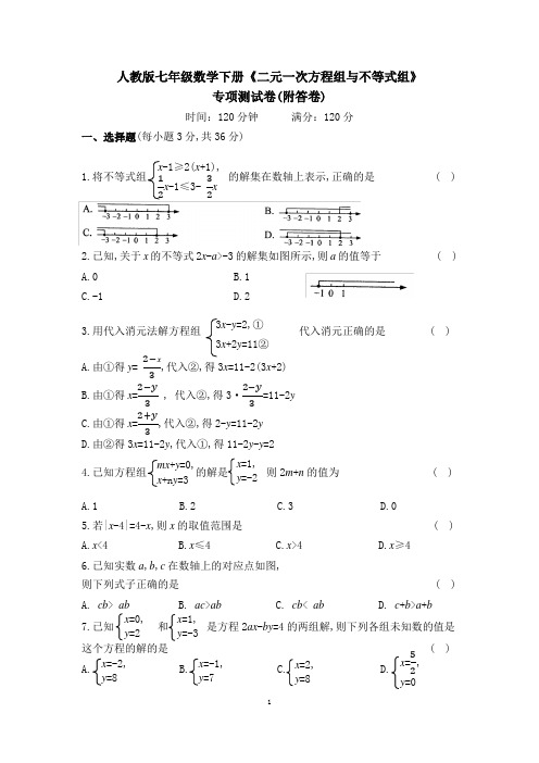 人教版七年级数学下册《二元一次方程组与不等式组》专项测试卷(附答卷)