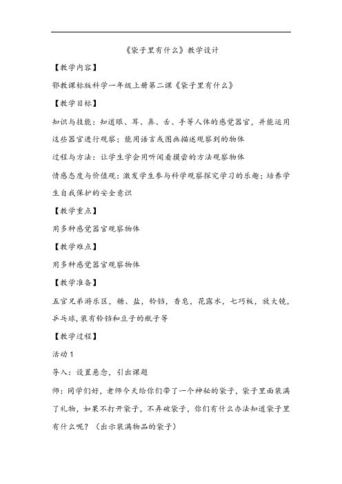 人教鄂教版小学科学一年级上册2《袋子里有什么》教学设计