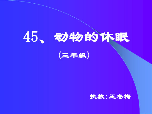 动物的休眠