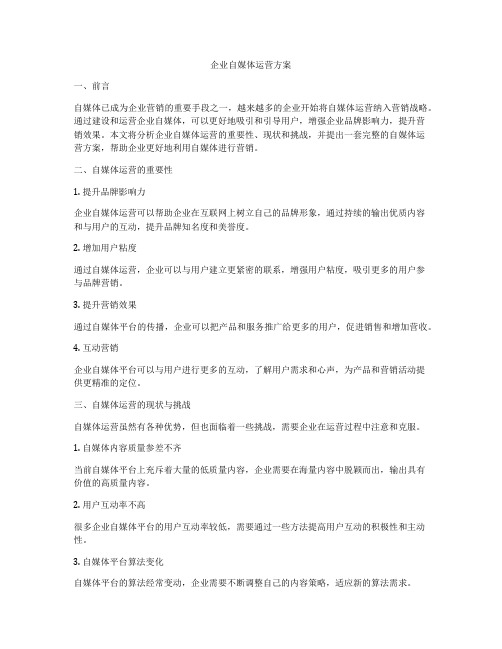 企业自媒体运营方案