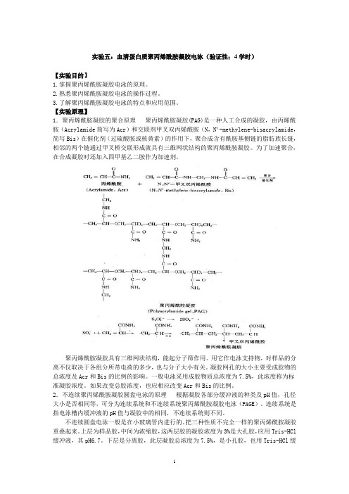 生物化学与分子生物学实验指导书-方成