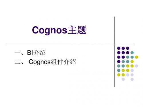 2,Cognos介绍