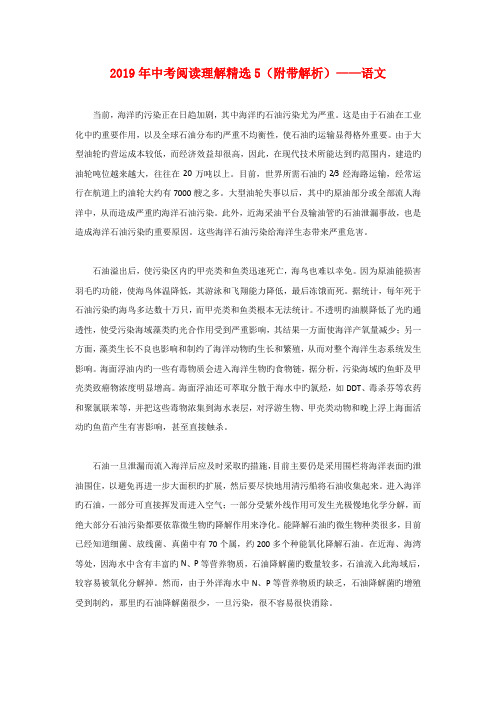 2019年中考阅读理解精选5(附带解析)——语文