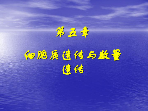 细胞质遗传与数量遗传.