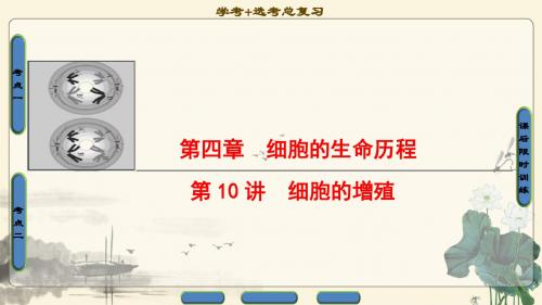 2018年浙江高考一轮 必修1 第4章 第10讲 细胞的增殖