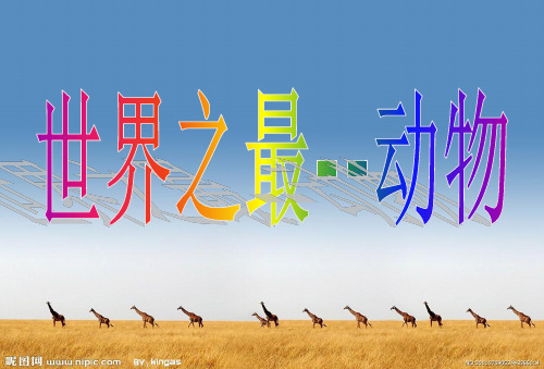 世界之最--动物篇