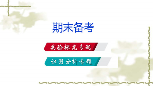 人教版八年级生物上册期末备考复习课件(共70张PPT)