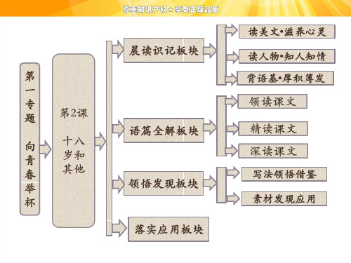 第一专题 第2课 十八岁和其他 优秀课件