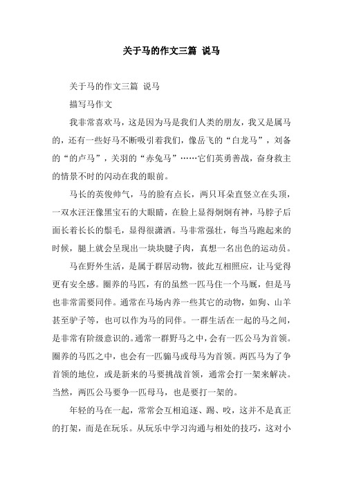 关于马的作文三篇 说马