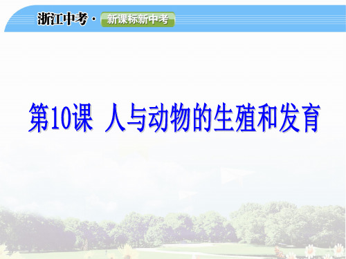 人与动物的生殖和发育
