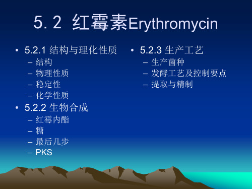 5.2 红霉素生产工艺