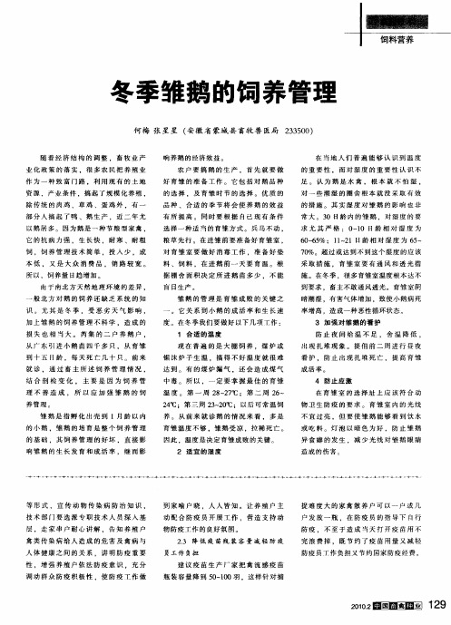 冬季雏鹅的饲养管理