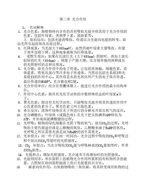 03 光合作用作业