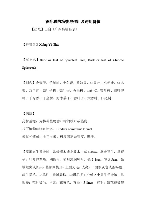 香叶树的功效与作用及药用价值