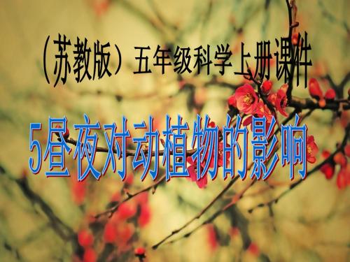 《昼夜对动植物的影响》PPT