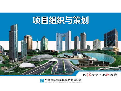 项目组织与策划课件
