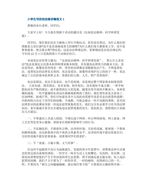 小学生写的宪法演讲稿范文