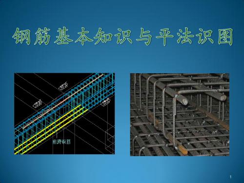 钢筋基本知识与平法识图讲解ppt课件