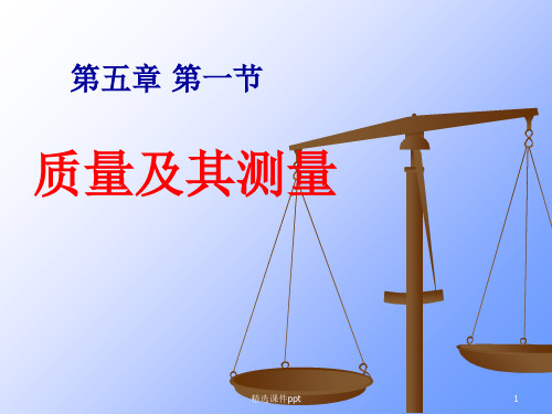 新课标初中物理《质量及其测量》精品