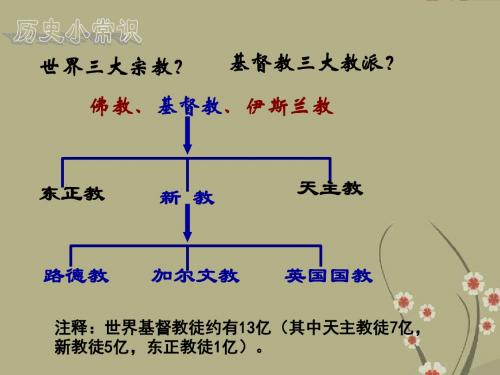 广东省佛山市顺德区均安中学高中历史 挑战教皇的权威课件 岳麓版必修3