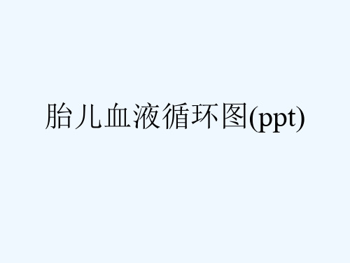 胎儿血液循环图(ppt)