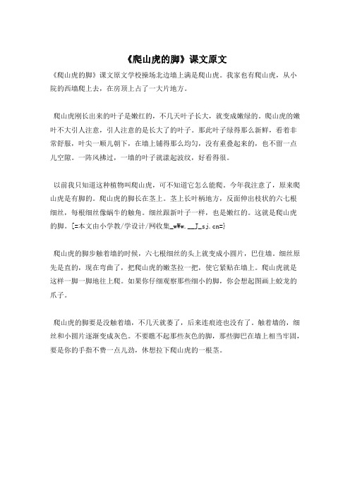 《爬山虎的脚》课文原文