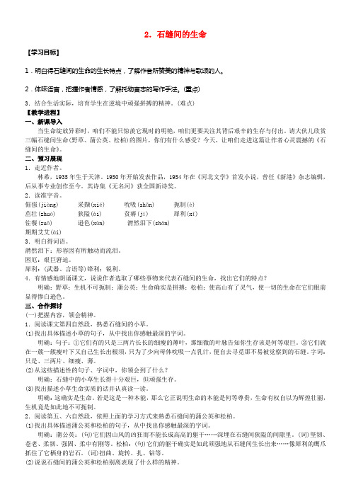 九年级语文下册2石缝间的生命教案新版语文版1