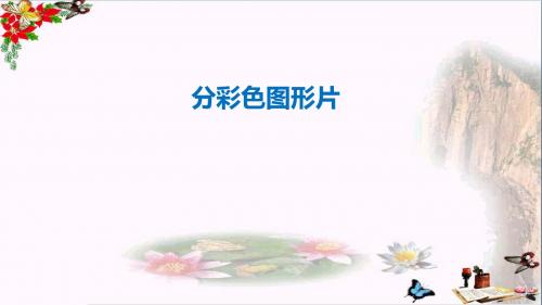一年级数学上册第五单元分彩色图形片PPT课件1沪教版五四制