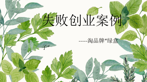 淘品牌“绿盒子”