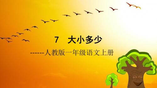 7《大小多少》说课稿