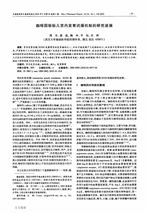 咖啡因致胎儿宫内发育迟缓机制的研究进展